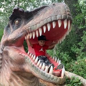 Meet your Posher, Arvan